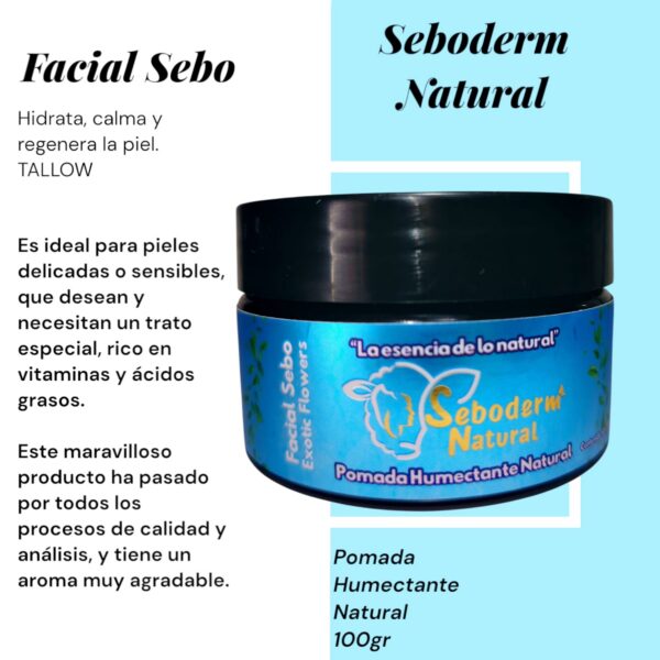 FACIAL SEBO 100GR - Imagen 2