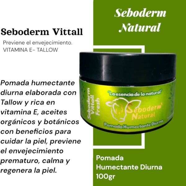 SEBODERM VITTALL 100GR - Imagen 2