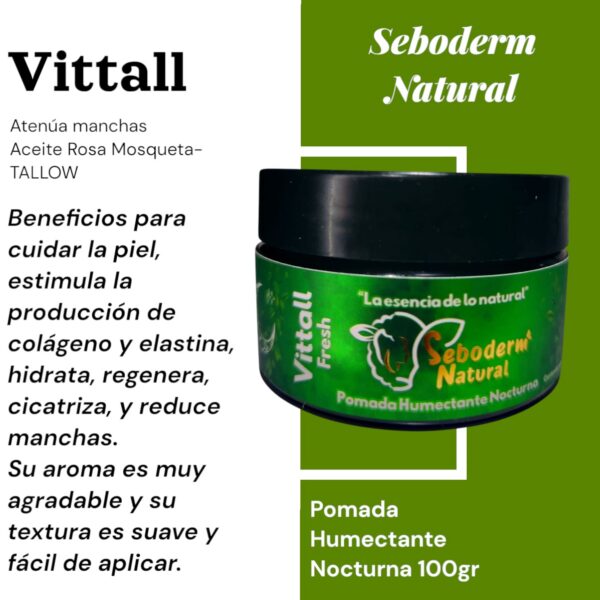 VITTALL FRESH 100GR - Imagen 2